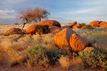 Granite boulders and trees, Namibia, southern Africa