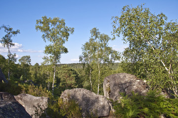 Fototapeta na wymiar Les gorges d'Apremont en forêt de Fontainebleau