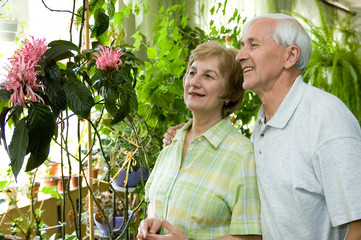 Obraz premium Elderly couple