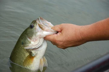 Photo sur Plexiglas Pêcher fisherman with bass