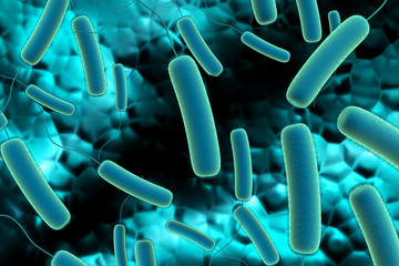 Obraz premium bacteria cell