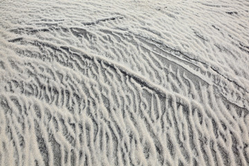 wind forms structures in the dunes at the beach