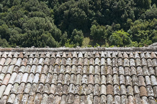 Tile Roof.