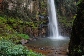 Obraz premium Lone creek waterfall