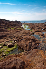 Fototapeta premium Océan marée basse Bretagne