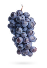 Bunch of grapes with water drops, isolated