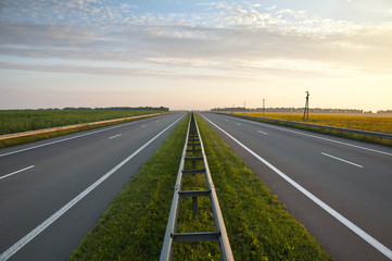 highways along a field of sunflowers