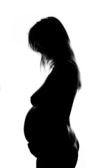 Pregnant woman silhouette