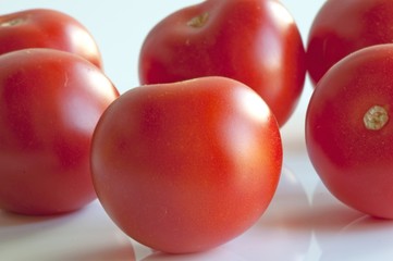 reife Bio-Tomaten aus eigenem Anbau