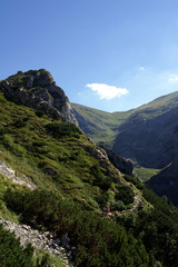 Naklejka premium skałka