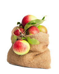 Sack Of Apples © Springfield Gallery