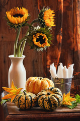 Sunflower & Gourds Still Life