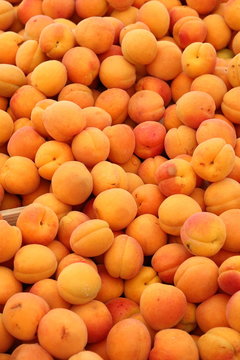 abricots