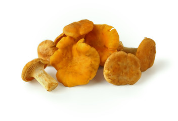 Chanterelles on white background