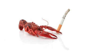 Crawfish and cigarette