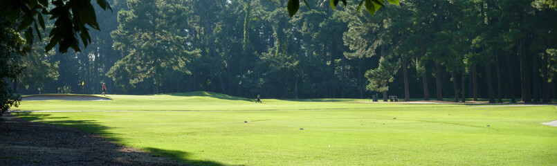 Obraz premium Lone golfer