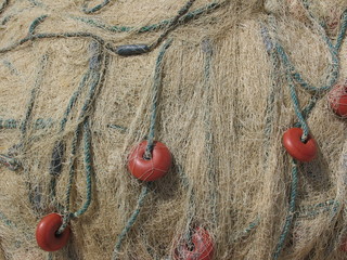 Fishing Net, Tunisia