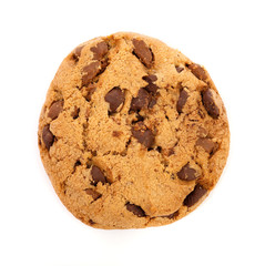 chocolate cookie