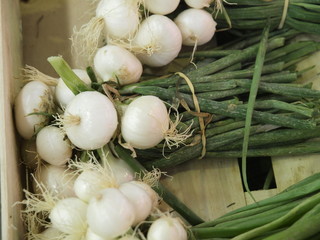 Verdura en mercado de Paris