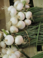 Verdura en mercado de Paris