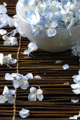 hydrangea petals in bowl on mat