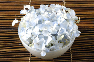Fototapeta na wymiar bowl of hydrangea petals