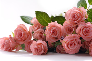 Fototapeta na wymiar Rose bouquet on white