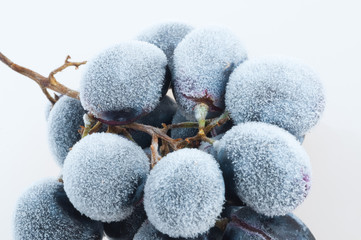 Grapes frozen.