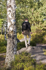 Promenade en forêt de Fontainebleau - France