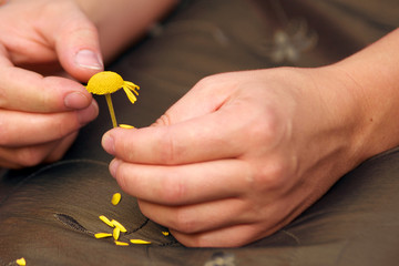 Er liebt mich, er liebt mich nicht