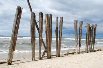 Holzstämme auf dem Strand in Miedzyzdroje (Misdroy)