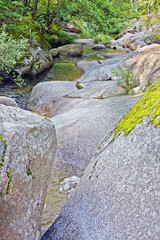 Arroyo de la Hoya. La Adrada