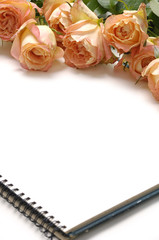 Bouquet of rose with notebook