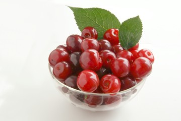 red juicy cherries