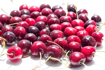 cherries on white background