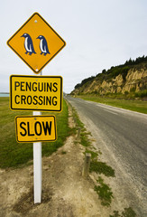 Penguins Crossing