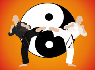 karate - fight duel (jing jang) - obrazy, fototapety, plakaty