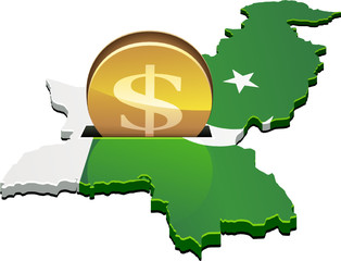 Invest Dollars in Pakistan