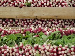 Verdura en mercado de Paris