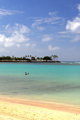 Fototapeta na wymiar Waikiki Beach, Honolulu, Oahu, Hawaii..