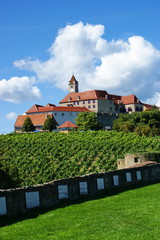 Fototapeta na wymiar Castle Riegensburg,Austria.