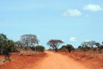 Tsavo-Ost Nationalpark in Kenia