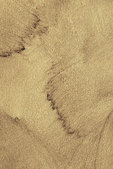 beige scrape for you.