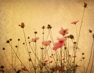 old flower paper textures - perfect background with space
