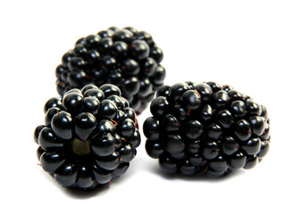 Fresh blackberries isolated on white background