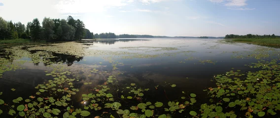Keuken foto achterwand Beutyful lakes and forests of Uusimaa region in Finland © dariya