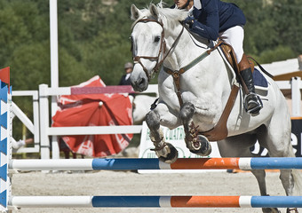 Caballo en pleno salto.