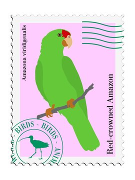 bird on stamp
