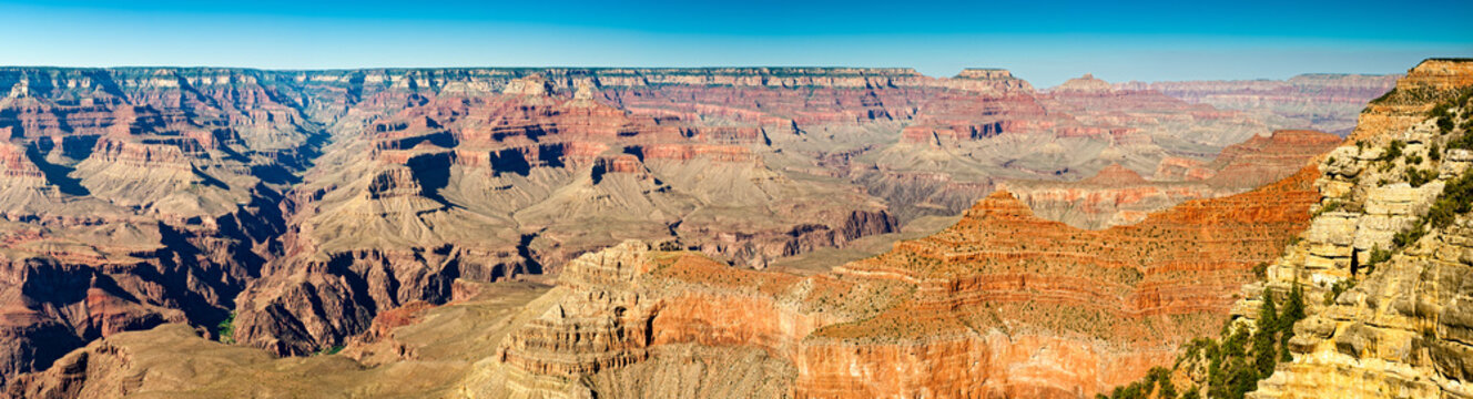 Grand Canyon Panoramic View