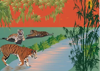 Crédence de cuisine en verre imprimé Animaux de la forêt trois tigres près de la rivière en forêt